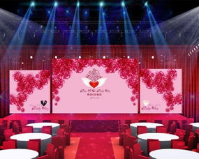 一站式婚庆服务 婚礼策划、婚车车队、主持与摄像跟拍完美整合